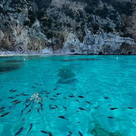 Liberty Кала-Гононе