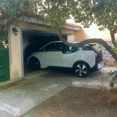 Liberty * كالا غونوني