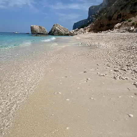 Liberty * كالا غونوني